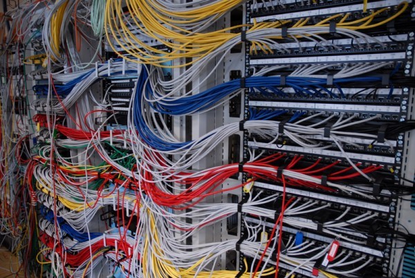 Why should you go for dedicated web hosting?